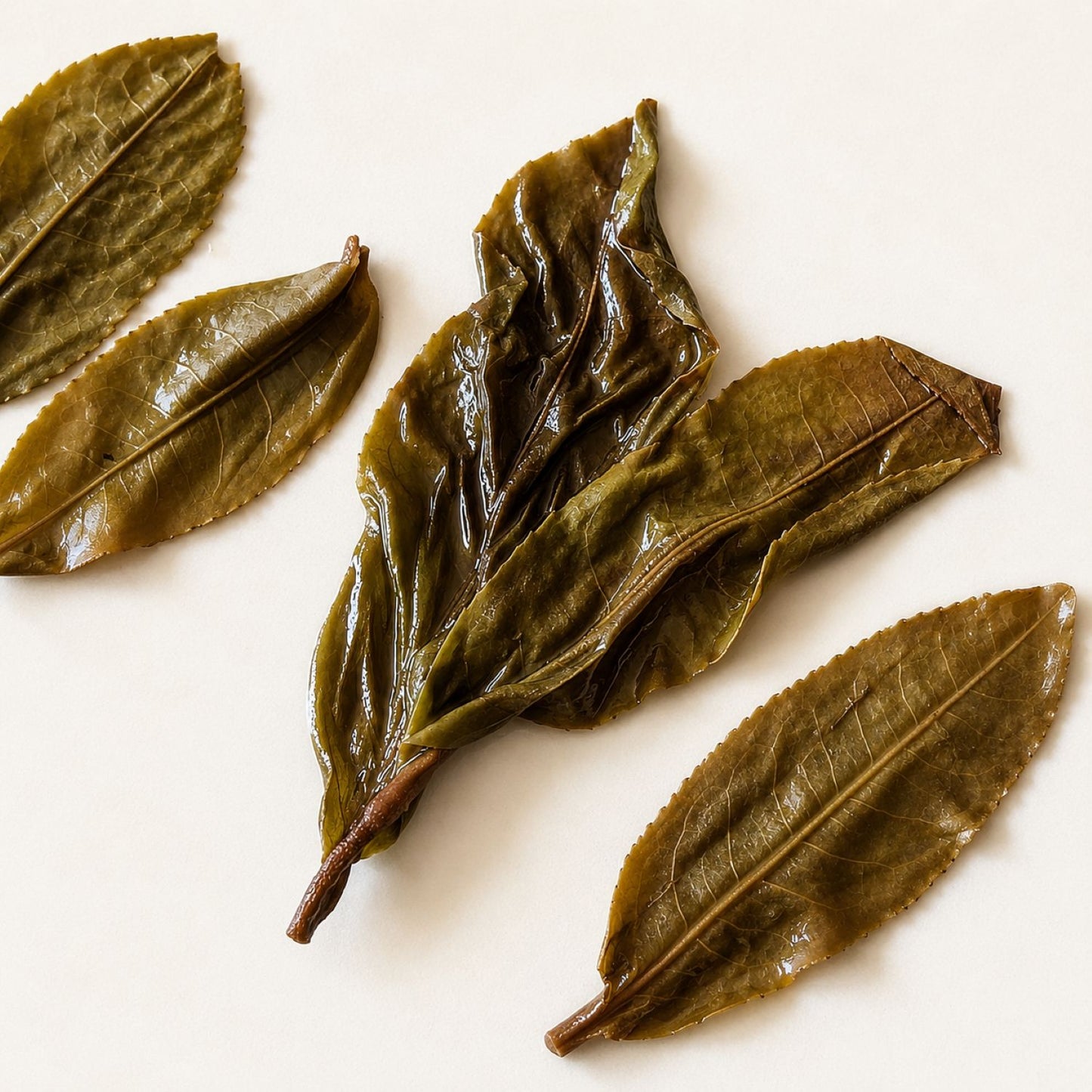 2019 Ancient Trees Lao Ban Zhang Raw Pu Erh Tea Balls