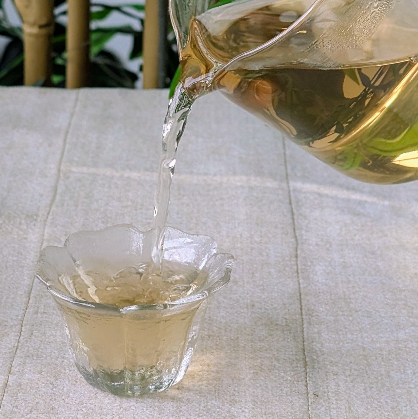 Glazen theepot met roestvrijstalen infuser 500ml