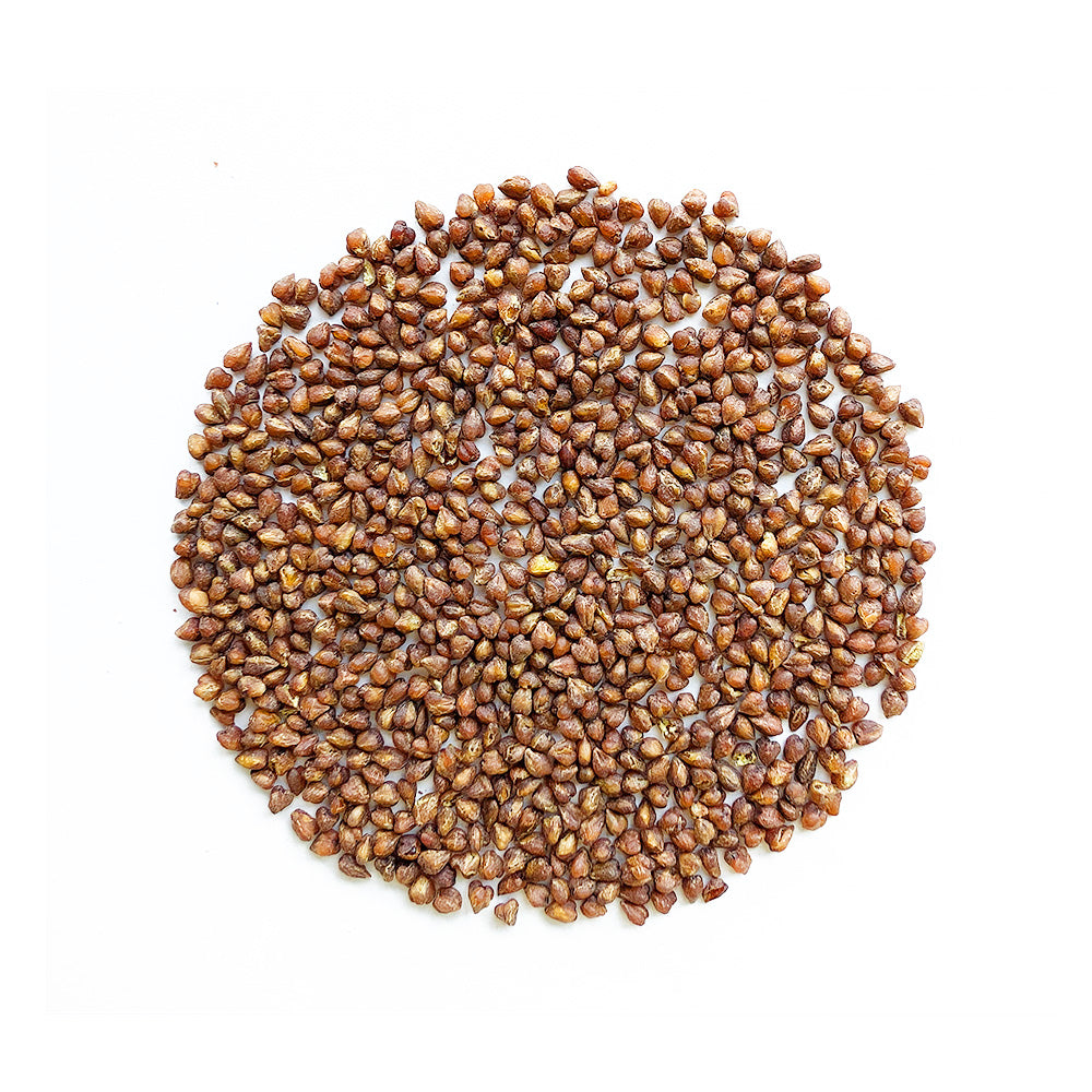 rose red soba buckwheat seeds Himalayan Black Tartary Buckwheat Tea