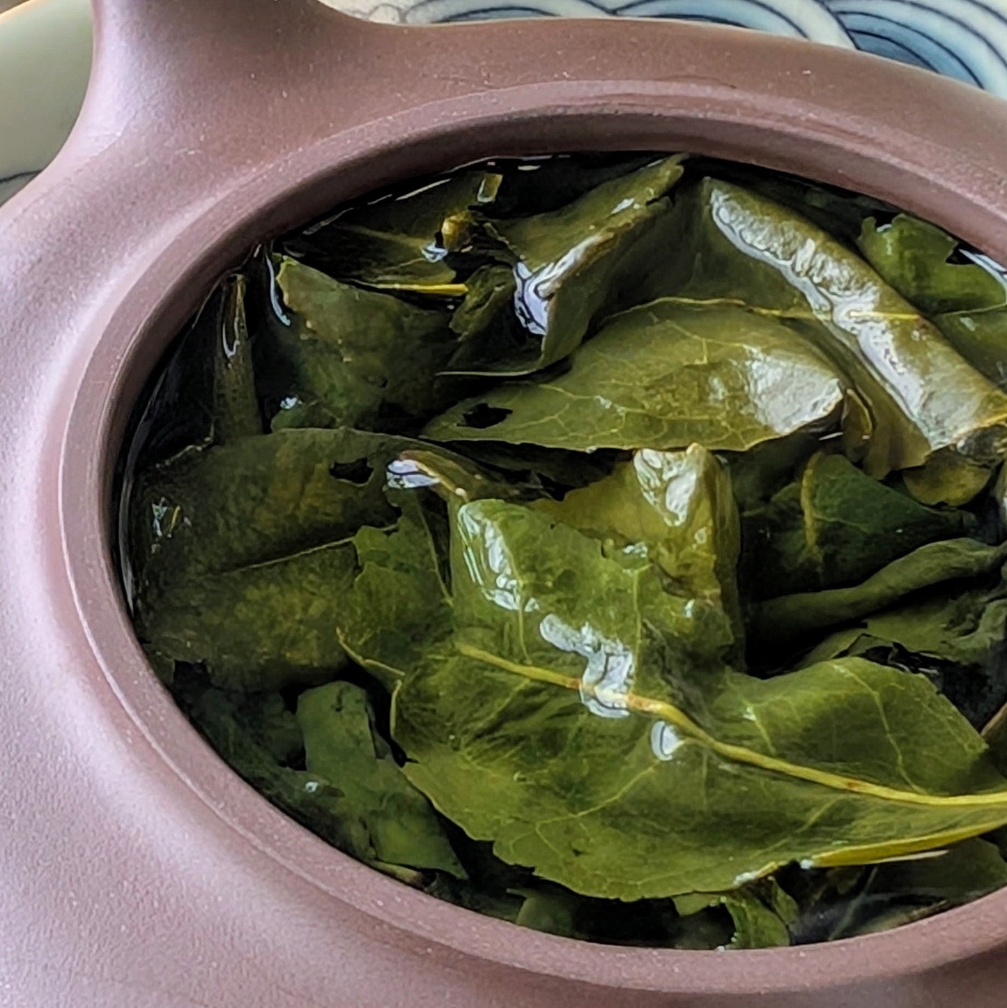 tie guan yin wet leaves