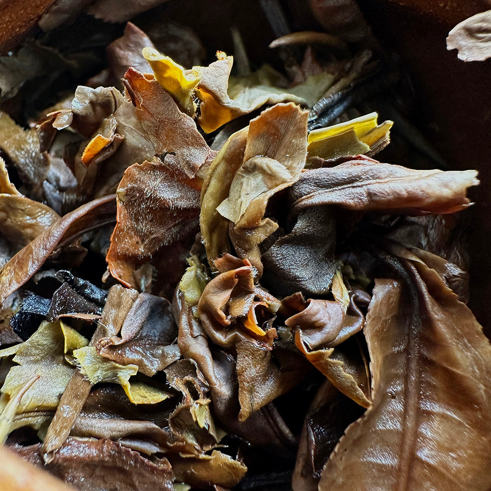 2019 Clair de Lune (Yue Guang Bai) Boules de Thé Blanc