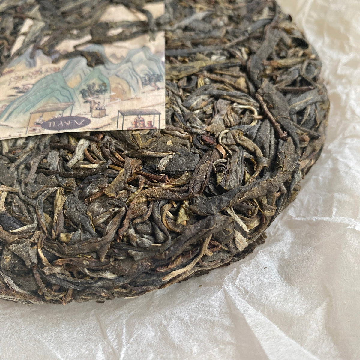 Complete Guide To Ancient Pu-Erh Tea For Beginners – LUGP