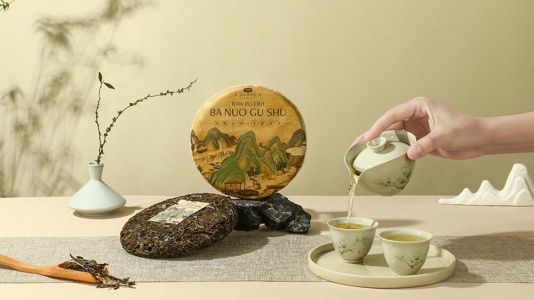 Pu Erh Tea water Temperature brewing steeping
