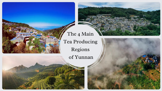 yunnan tea regions