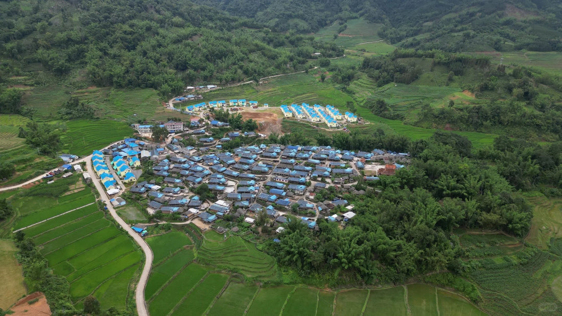 Lincang, Yunnan Pu Erh Tea Production Region