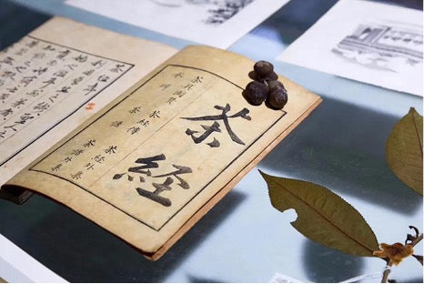 Lu Yu & The Classic of Tea (Cha Jing) | Teasenz.eu