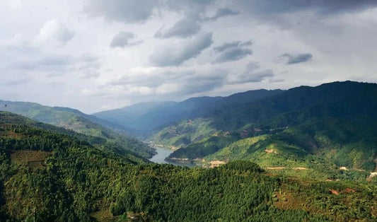 mengku tea region & 18 villages