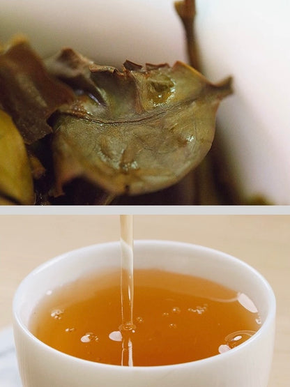 Oripuerlab Tian Bai « Thé du jour » Thé blanc pressé, sachets de 2g