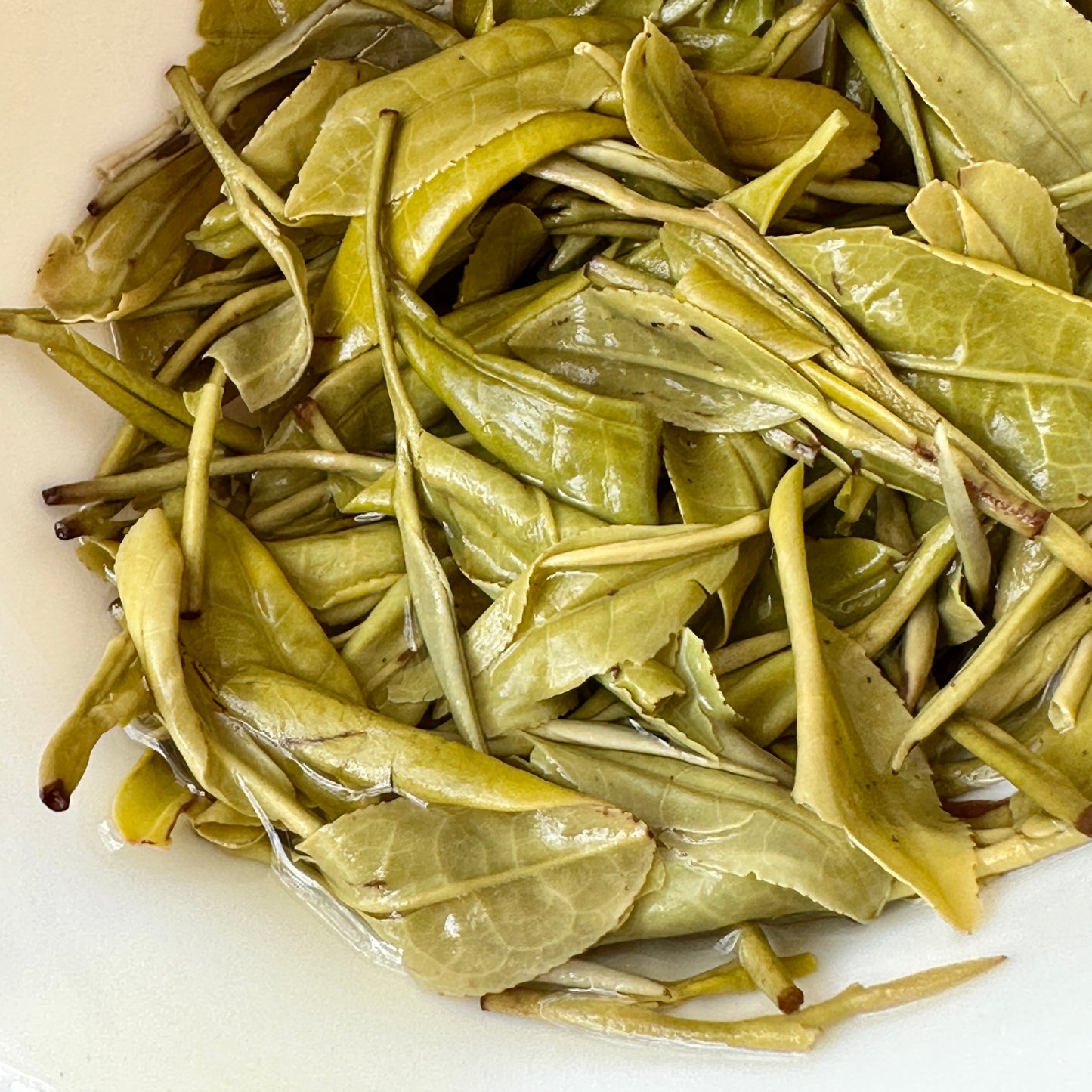 Anji Huang Jin Ya (Golden Bud) Green Tea