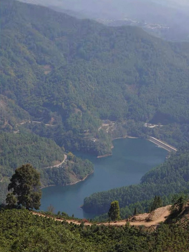 2024 Oripuerlab Taidou 'Eminent Teacher’ Raw Pu Erh Theeblok 50g