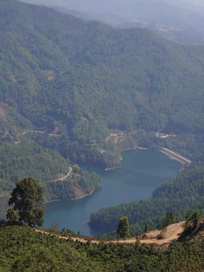 2024 Oripuerlab Taidou 'Eminent Teacher’ Raw Pu Erh Theeblok 50g