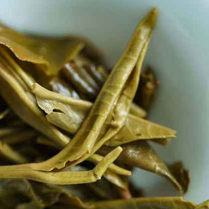 2025 Oripuerlab Da Xue Shan 215 Raw Pu Erh