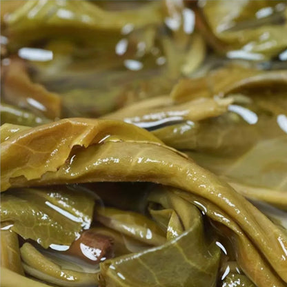 2024 Oripuerlab Taidou 'Eminent Teacher’ Raw Pu Erh Theeblok 50g