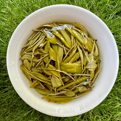 Anji Huang Jin Ya (Golden Bud) Grüner Tee