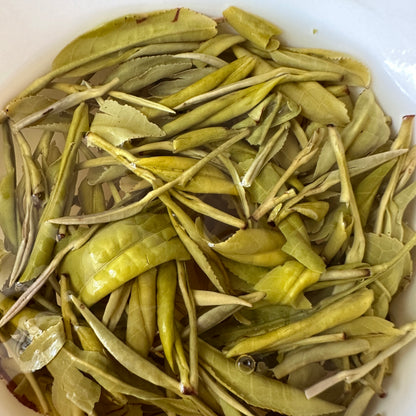 Anji Huang Jin Ya (Germoglio dorato) Tè Verde