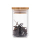Glass Tea Set with Teapot, Storage Jar, Cups & Travel Bag