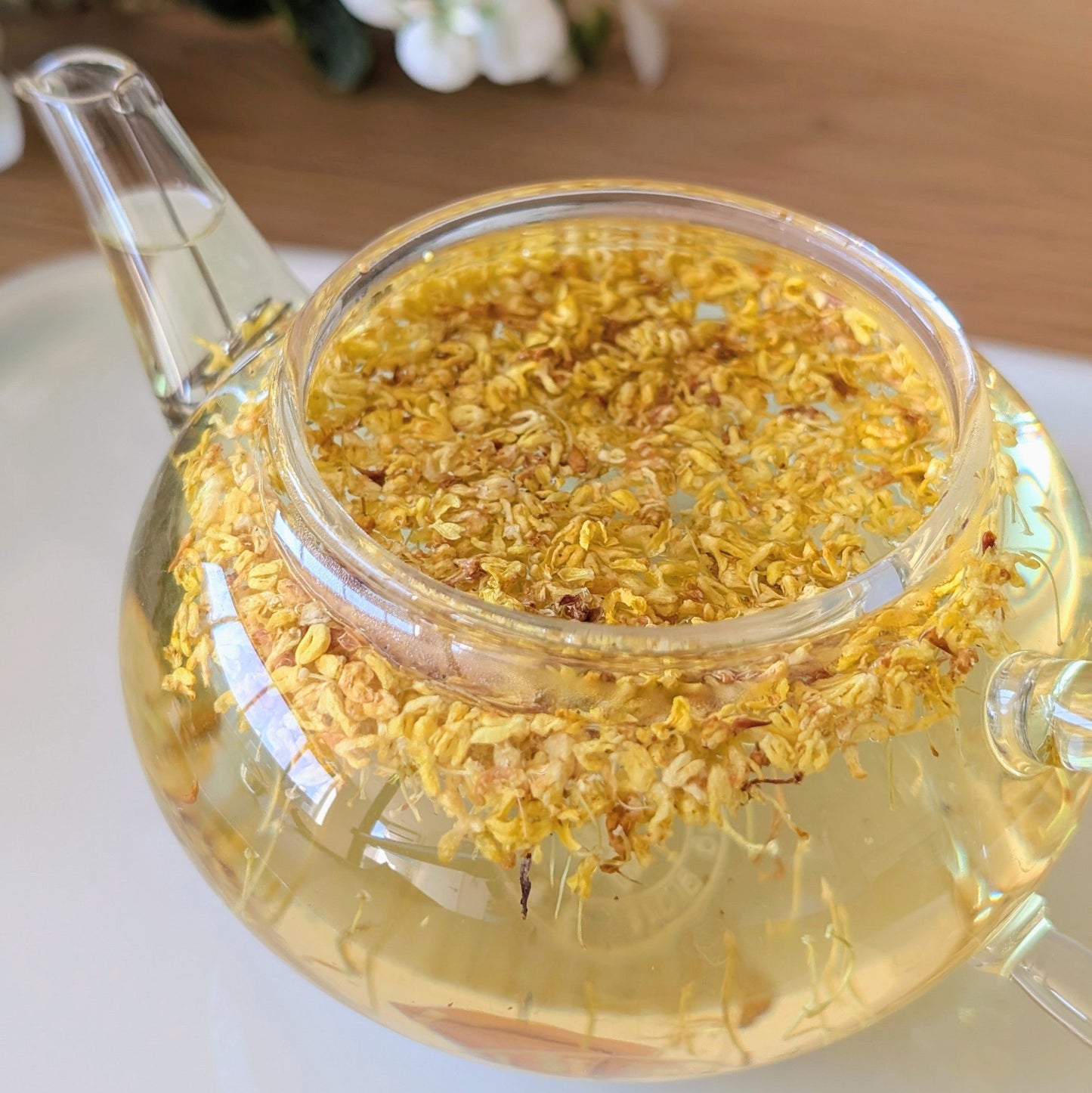 Osmanthus Bloementhee
