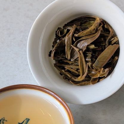 golden tea buds and leaves infused in a gaiwan 