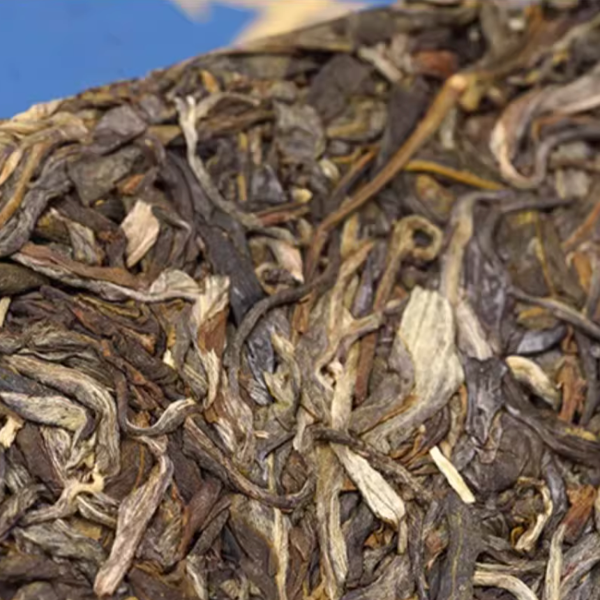 Yibang & Lushuitang Tea Cake + FREE Oripuerlab Tea Brick