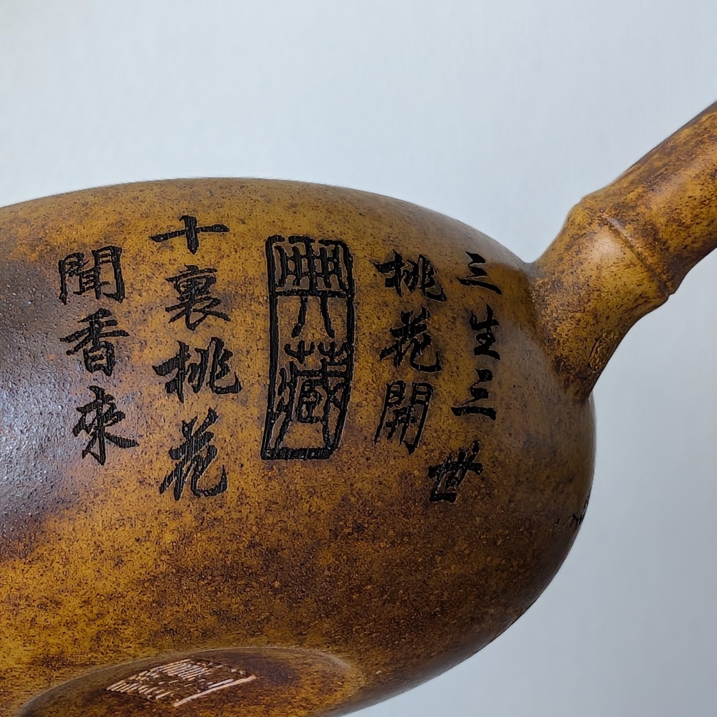 Yixing Long Gu Jin Sha Ni Clay Kyusu Teapot Cicada & Bamboo detail1