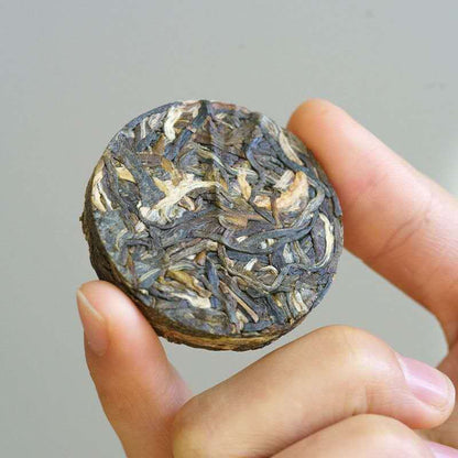 2025 Oripuerlab Da Xue Shan 215 Raw Pu Erh