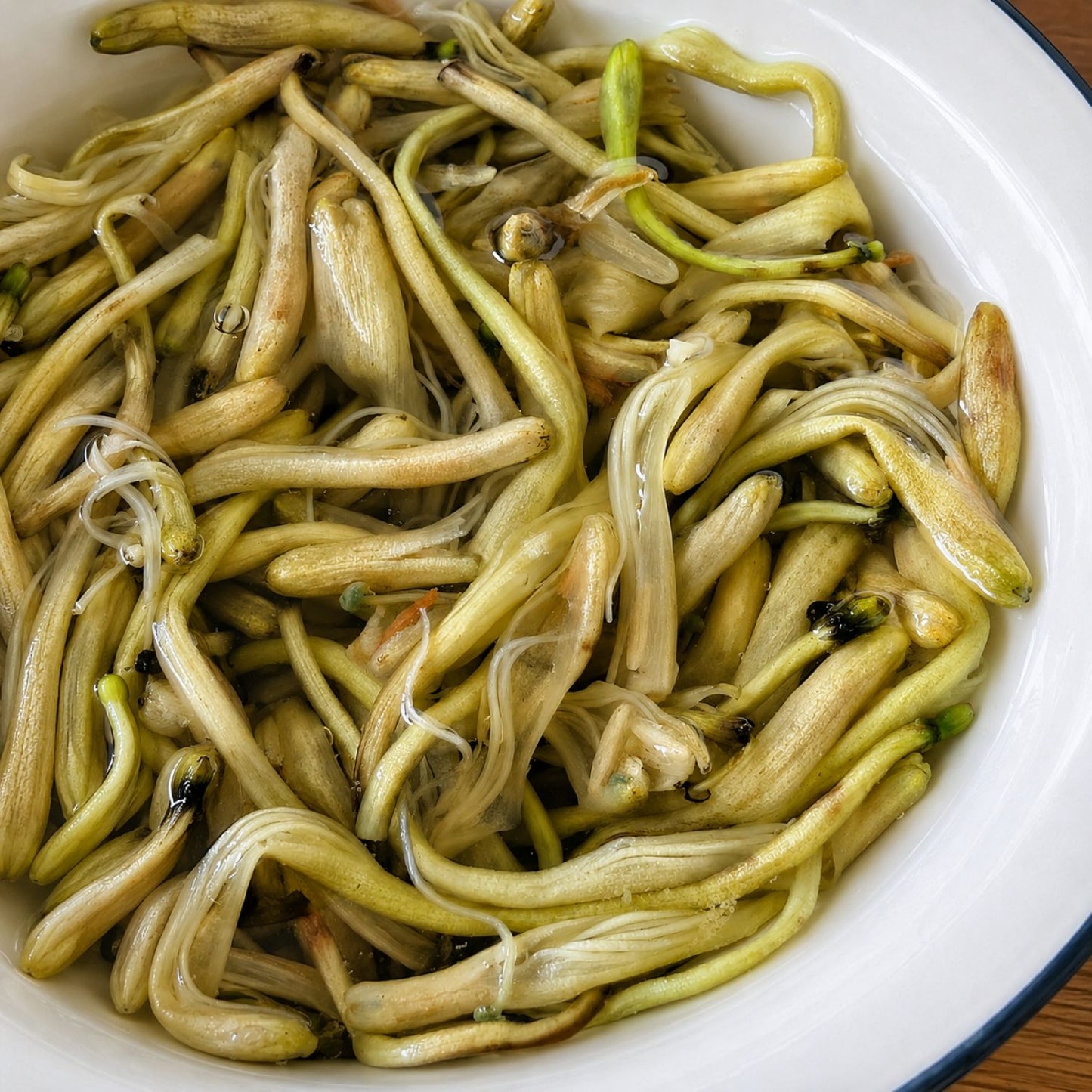 Ceai de caprifoi (Lonicera Japonica)