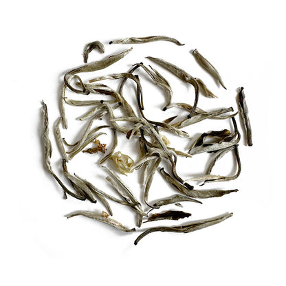silver needle jasmine white tea
