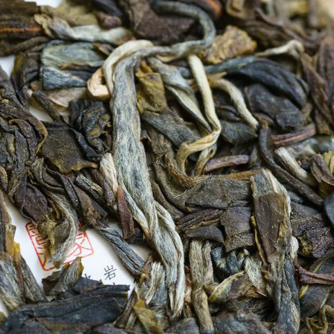2024 Oripuerlab 'Zhenshi' 613 Bangdong Galette de Pu Erh Cru 200g