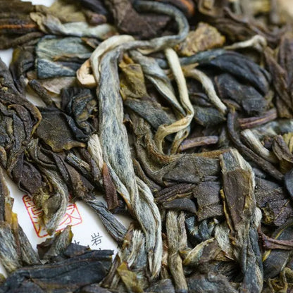 2024 Oripuerlab 'Zhenshi' 613 Bangdong Galette de Pu Erh Cru 200g