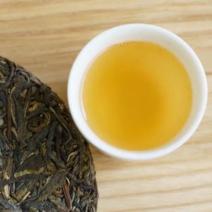 2024 Oripuerlab 'Zhenshi' 613 Bangdong Galette de Pu Erh Cru 200g