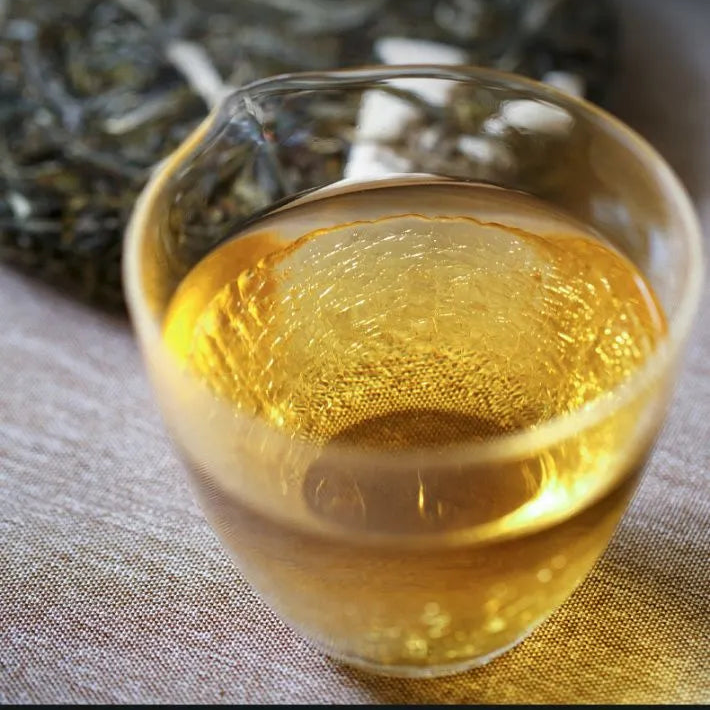 2024 Oripuerlab 'Zhenshi' 613 Bangdong Galette de Pu Erh Cru 200g