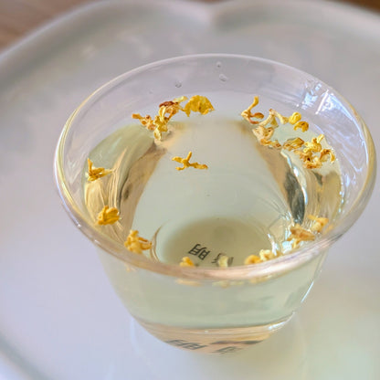 Osmanthus Bloementhee