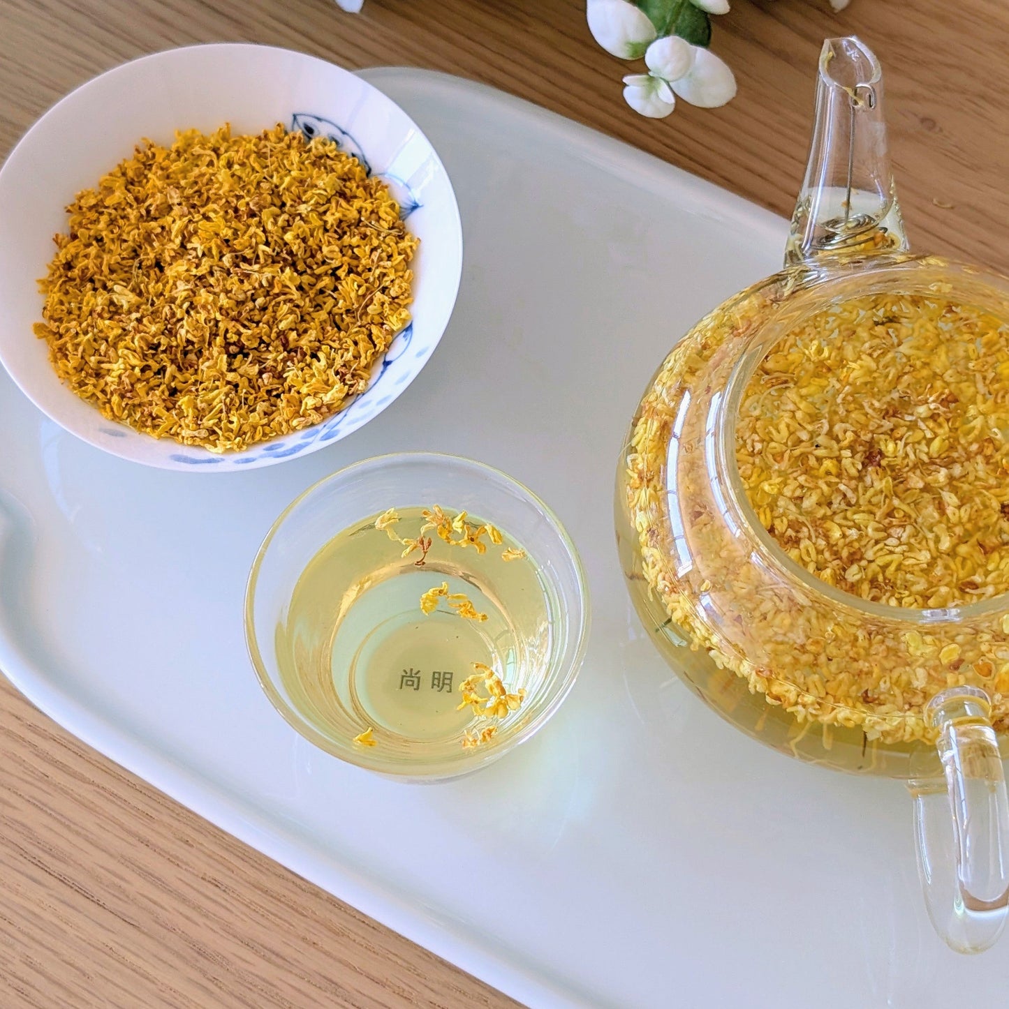 Osmanthus Bloementhee