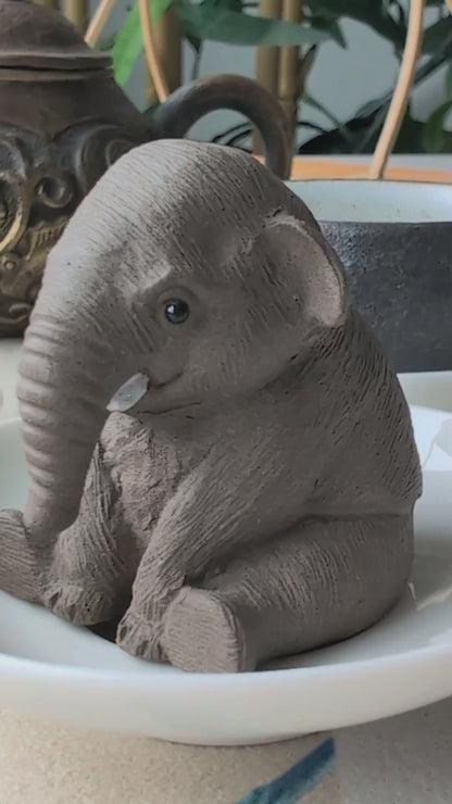 Baby Elephant Tea Pet