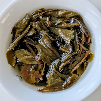 2024 Oripuerlab 'Zhenshi' 613 Bangdong Galette de Pu Erh Cru 200g