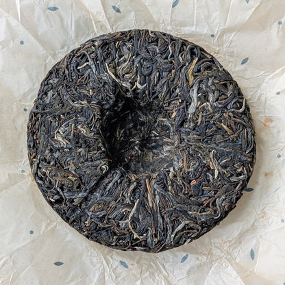 2024 Oripuerlab 'Zhenshi' 613 Bangdong Galette de Pu Erh Cru 200g