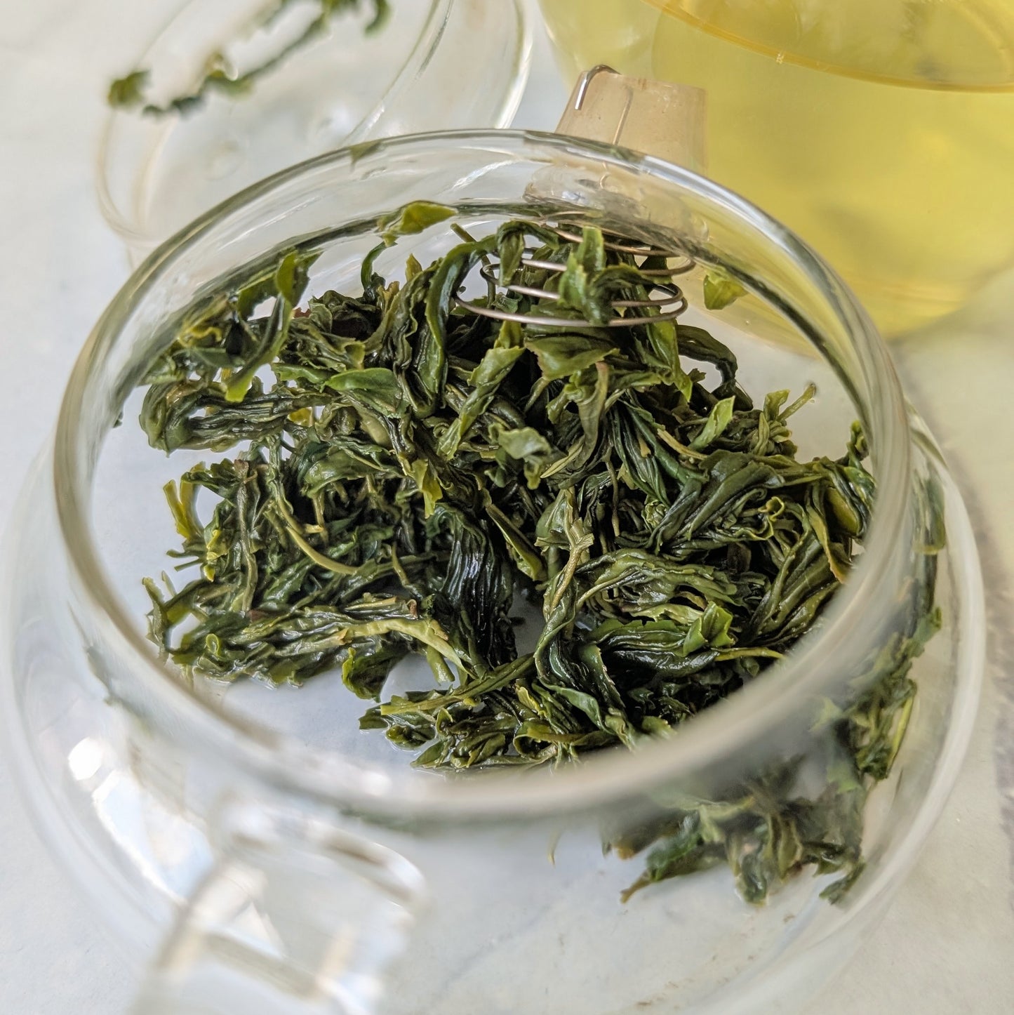 Thé Vert Sauvage Xin Yang Mao Jian