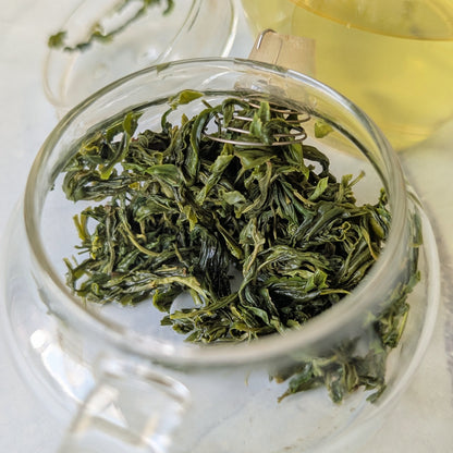 Thé Vert Sauvage Xin Yang Mao Jian