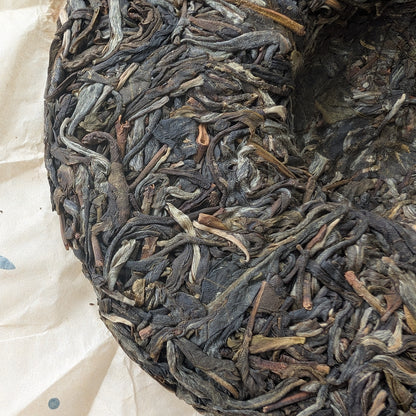 2024 Oripuerlab 'Zhenshi' 613 Bangdong Galette de Pu Erh Cru 200g
