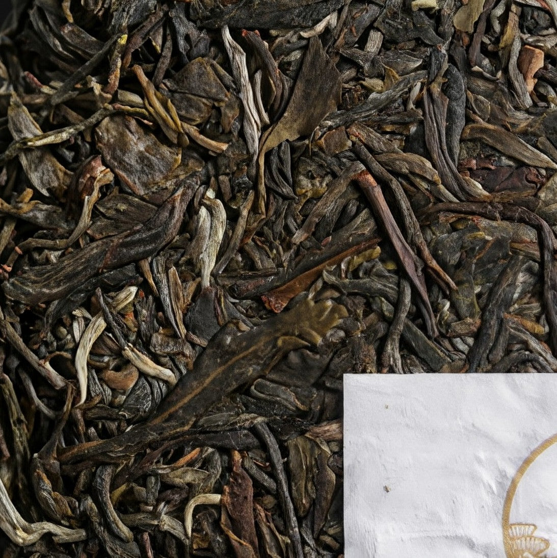 2019 Xiaguan Jingmai Xunxiang Ancient Tree Raw Pu Erh Tea Cake 357g