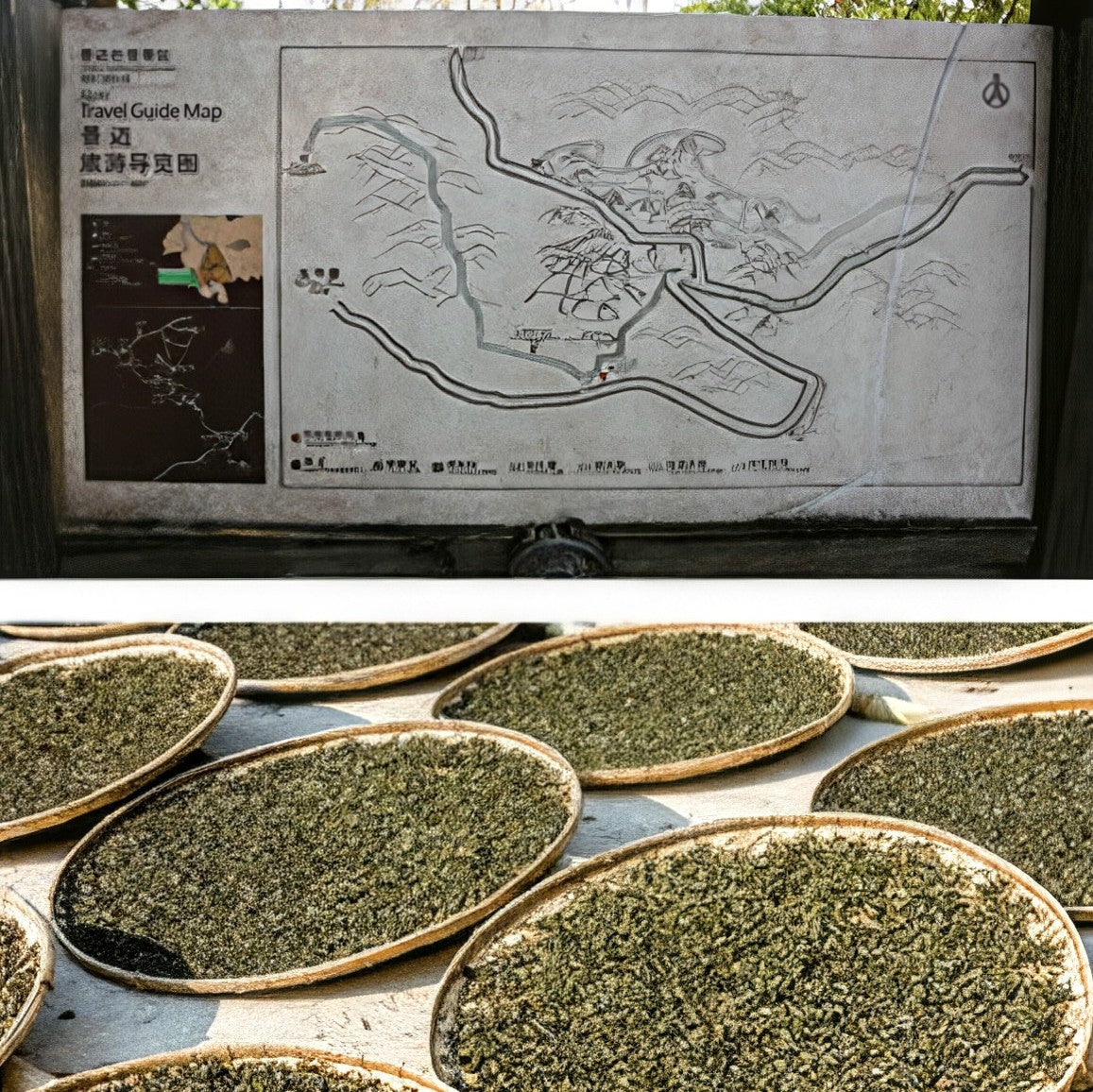 2019 Xiaguan Jingmai Xunxiang Ancient Tree Raw Pu Erh Tea Cake 357g