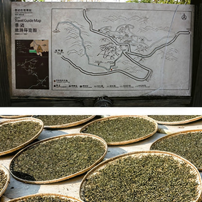 2019 Xiaguan Jingmai Xunxiang Ancient Tree Raw Pu Erh Tea Cake 357g