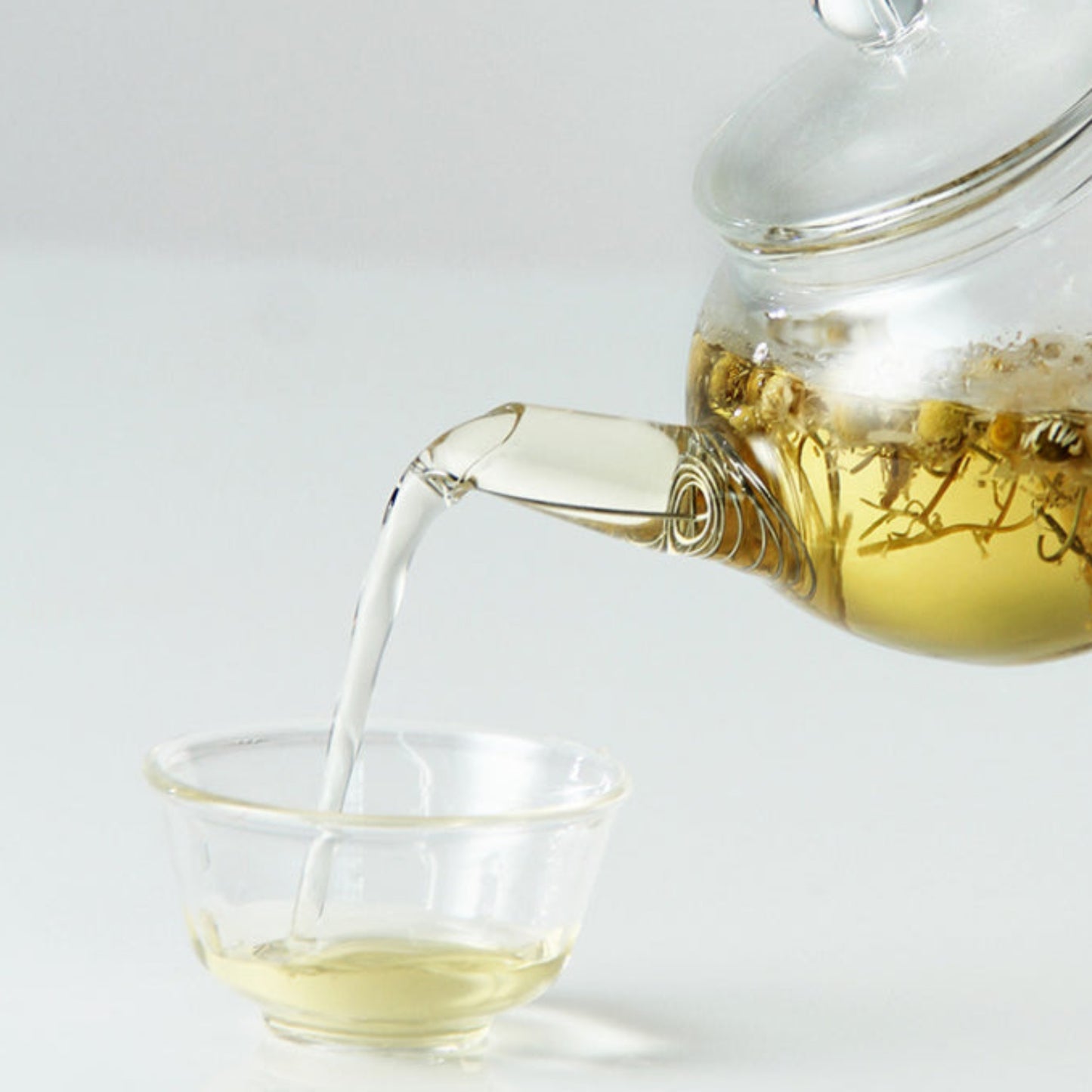 glass teapot with stainless steel filter