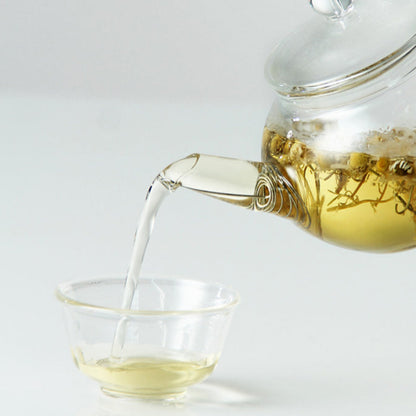 glass teapot with stainless steel filter