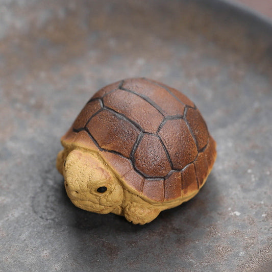 small tortoise tea pet