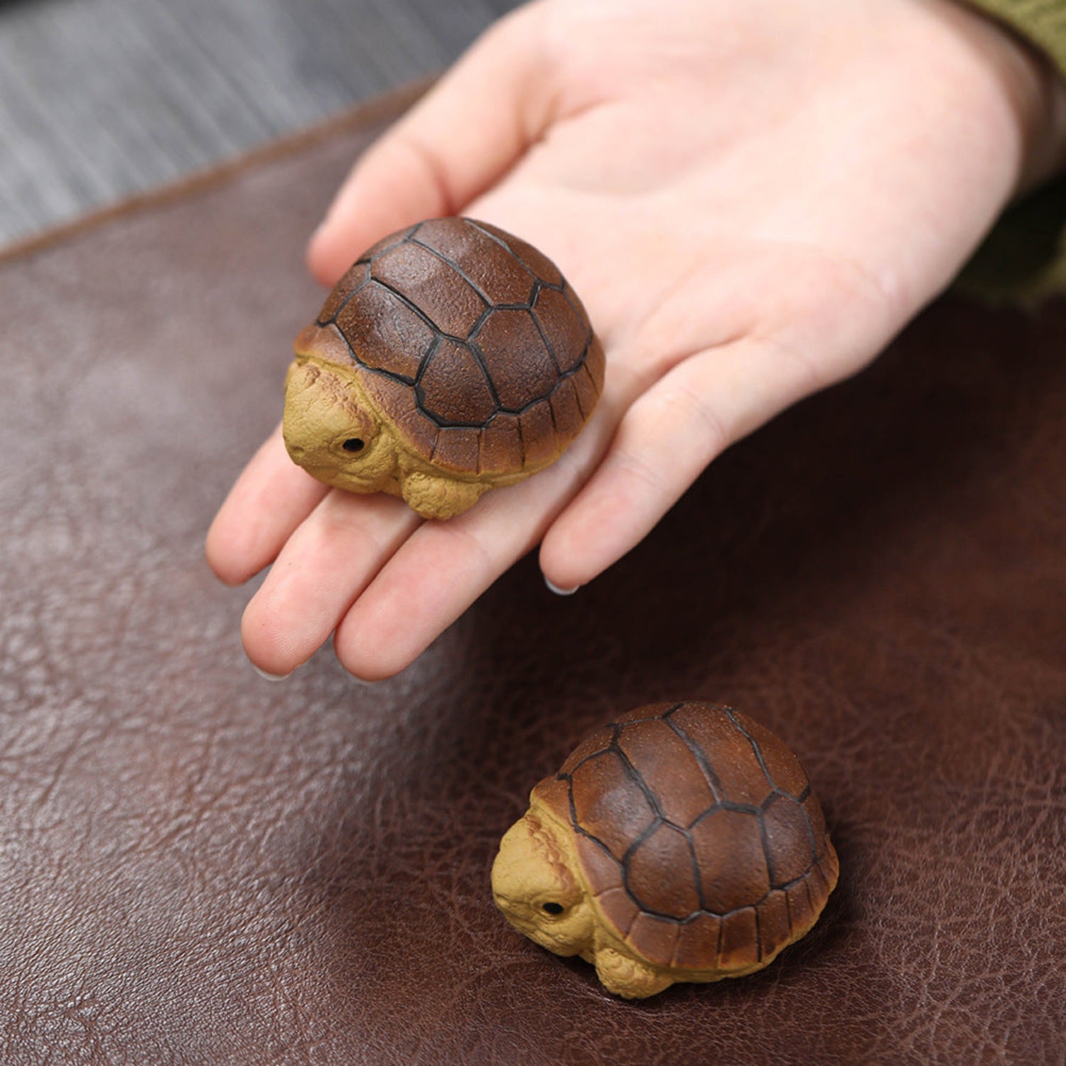 where to buy tea pets