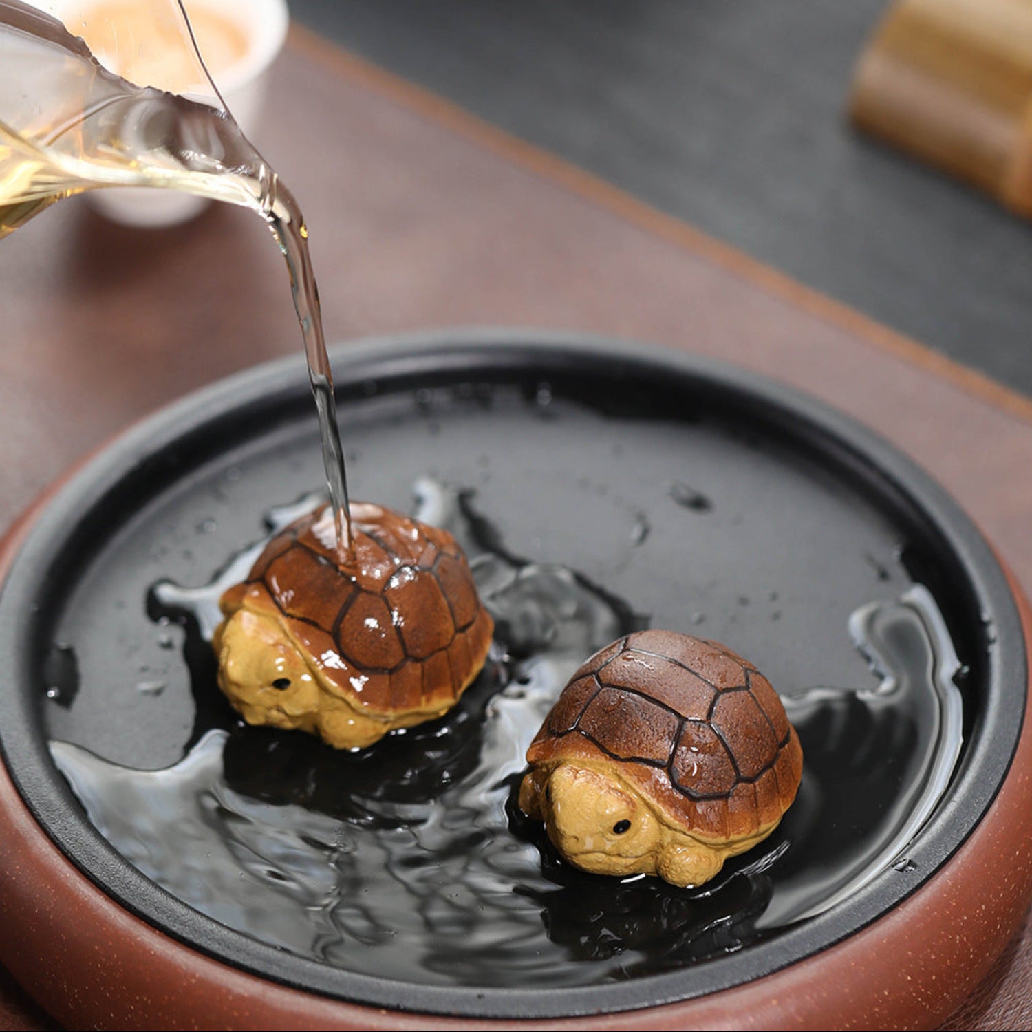 pouring tea on turtle tea pets