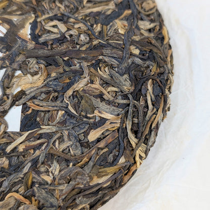 detail of tea leaves and golden buds in a raw dark tea