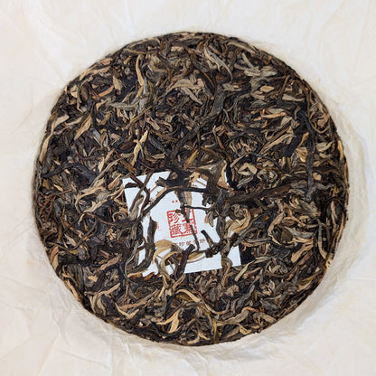 raw pu erh cake with golden buds 