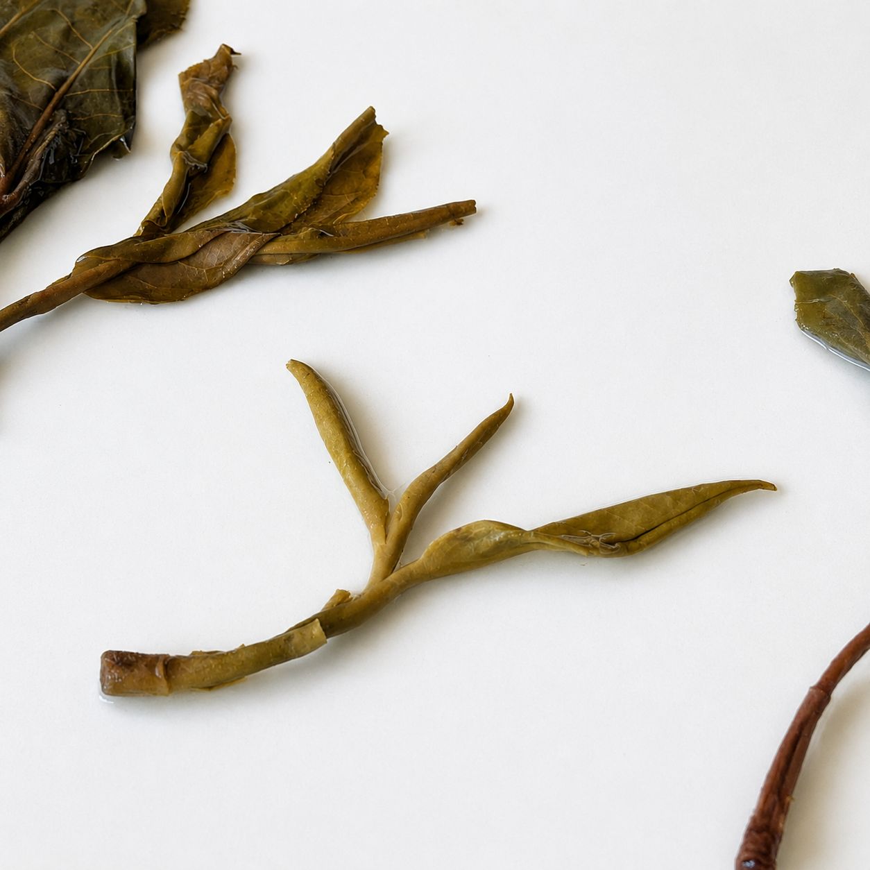 2025 "Wild Mountain Spirit Leaf" Yongde Raw Pu Erh Tea Balls